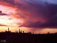 Ink Free No. 12 (August 2024)