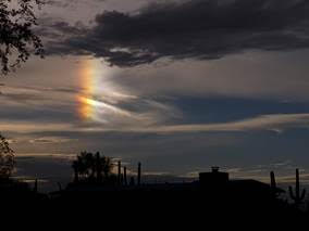 Ink Free No. 14 (September 2024)